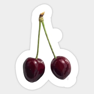 Cherries Sticker